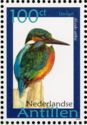 Common Kingfisher (Alcedo atthis)